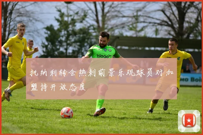 托纳利转会热刺前景乐观球员对加盟持开放态度