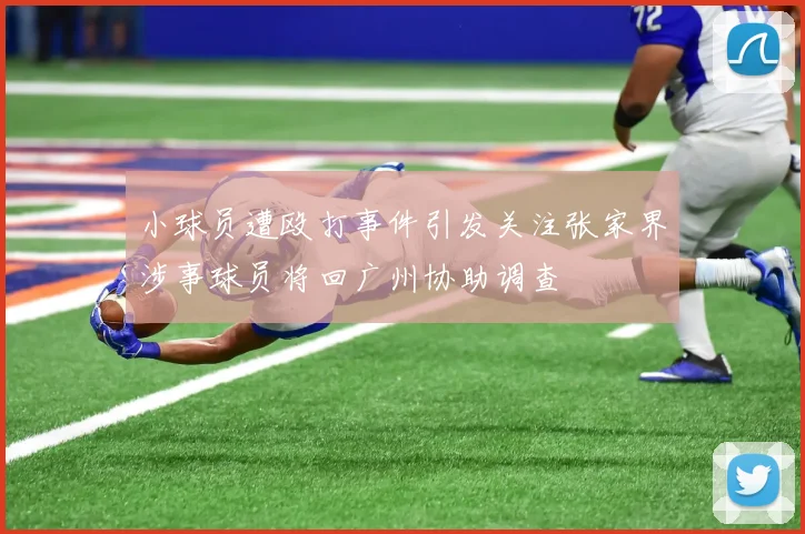 小球员遭殴打事件引发关注张家界涉事球员将回广州协助调查